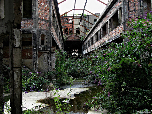 North Street Arcade, Belfast by TBSteve.